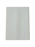 YSL ANNUAL REPORT